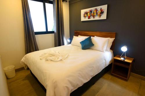 Blue Macaw